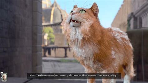 Baldurs Gate 3 developer Larian Studios has shaved His Majesty after fans of the cat complained about a recent change that added fur. . Malta the cat bg3